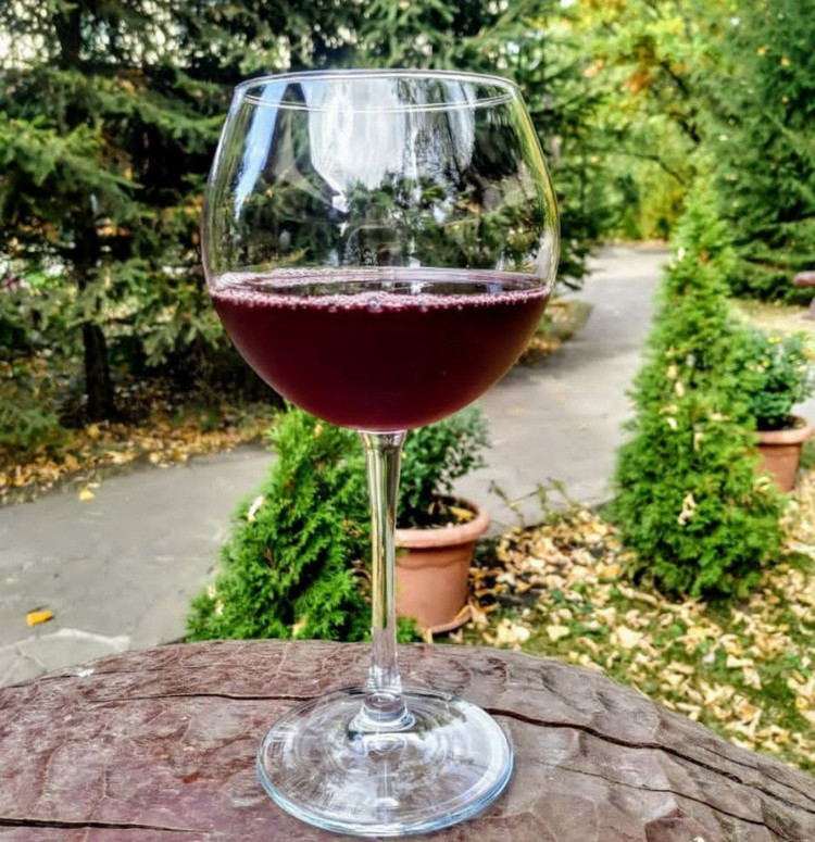 گیلاس چهارتایی پاشاباغچه ترکیه مدل انوتکا ENOTECA